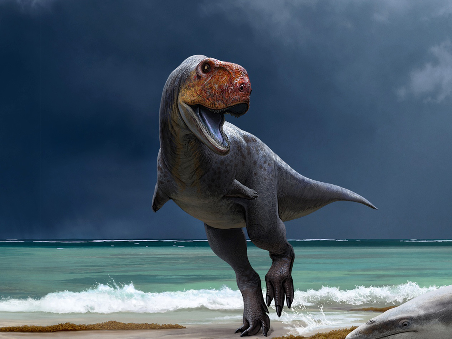 Newly discovered, primitive cousins of T. rex shed light on the
