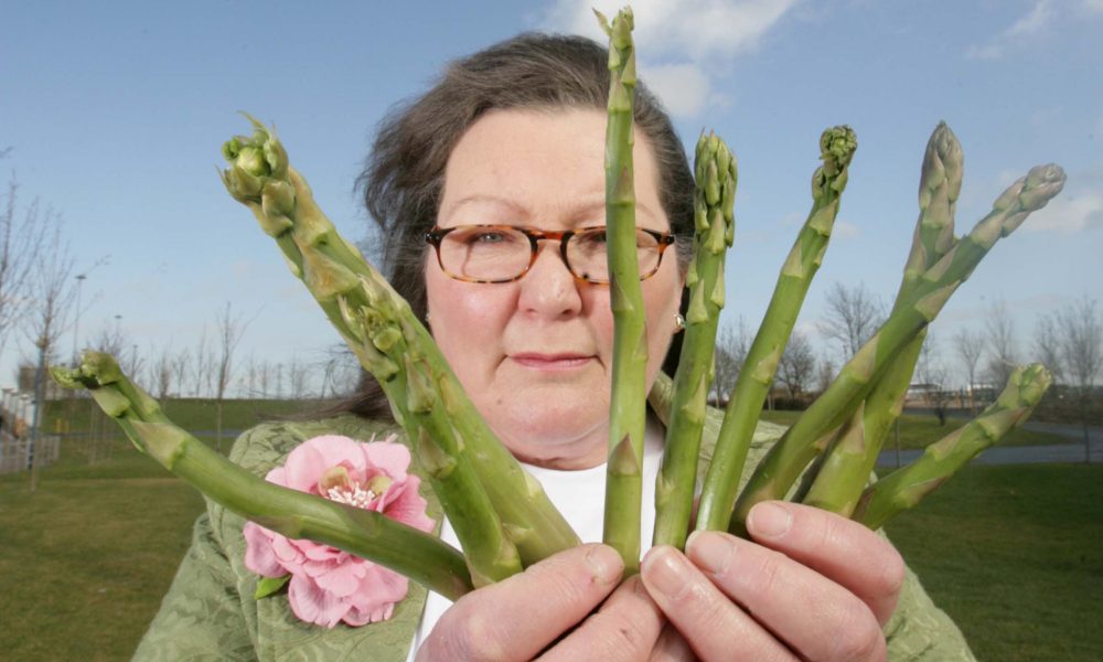 Asparagus Fortune Teller Shares Shocking 2024 Predictions Talker UK   Asparagus Fortu 1118240 1000x600 