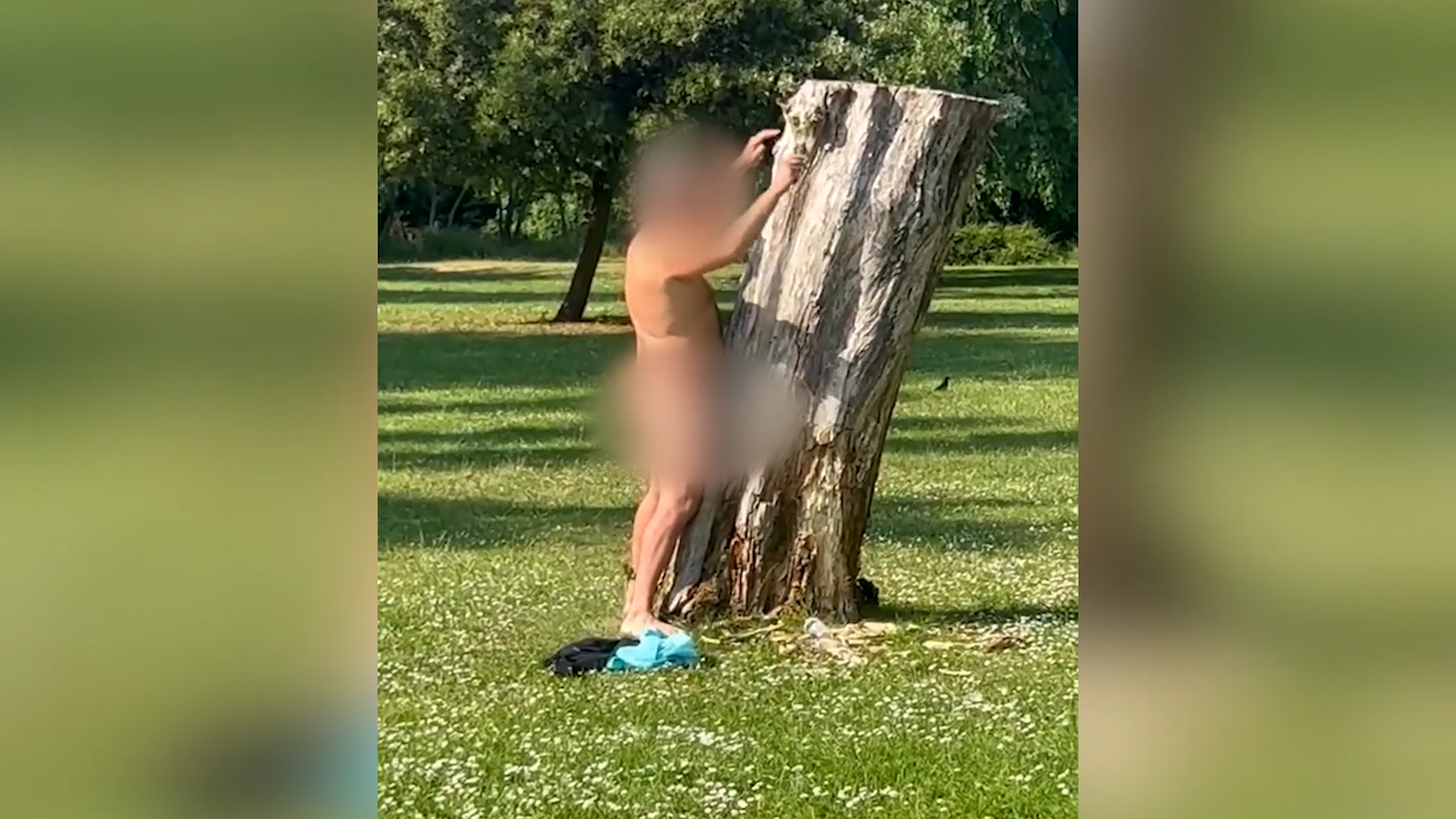 Naked man arrested after allegedly having sex with a tree