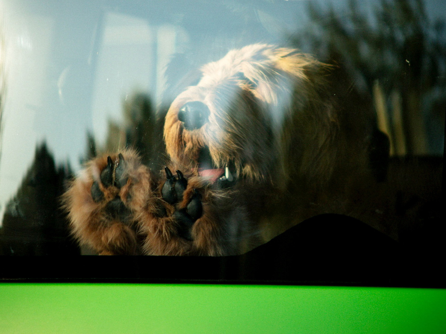 Robot dog shows why you should never leave your pet in a hot car
